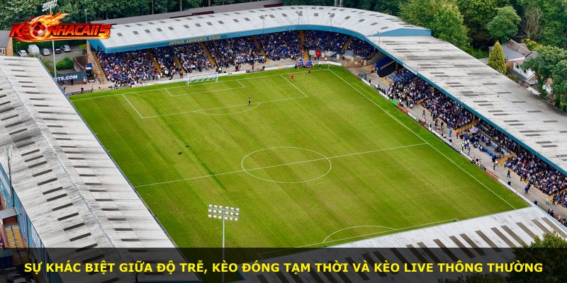 Sự khác biệt giữa độ trễ, kèo đóng tạm thời và kèo live thông thường