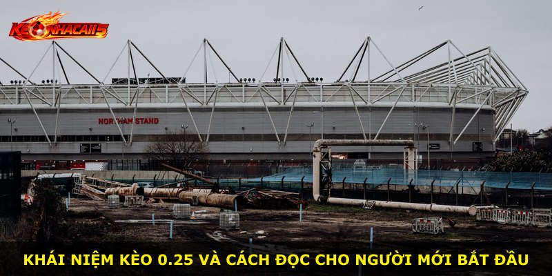Khái niệm kèo 0.25 và cách đọc cho người mới bắt đầu