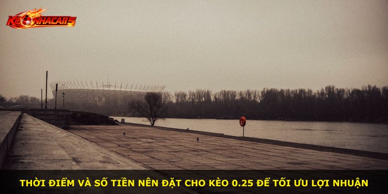 Thời điểm và số tiền nên đặt cho kèo 0.25 để tối ưu lợi nhuận