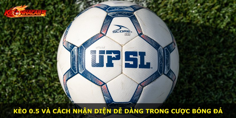 Kèo 0.5 và cách nhận diện dễ dàng trong cược bóng đá