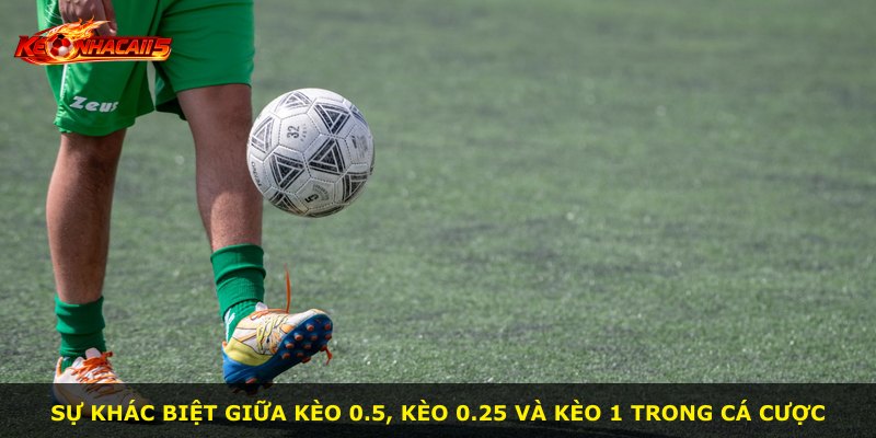 Sự khác biệt giữa kèo 0.5, kèo 0.25 và kèo 1 trong cá cược