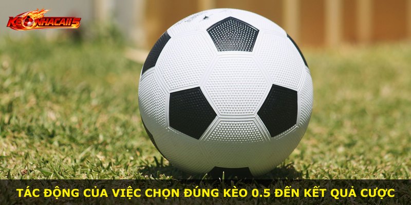 Tác động của việc chọn đúng kèo 0.5 đến kết quả cược