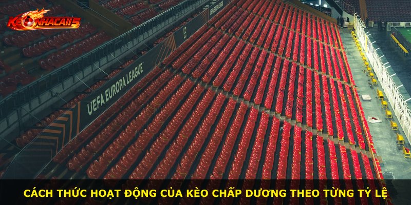 Cách thức hoạt động của kèo chấp dương theo từng tỷ lệ