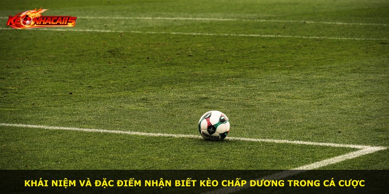 Khái niệm và đặc điểm nhận biết kèo chấp dương trong cá cược