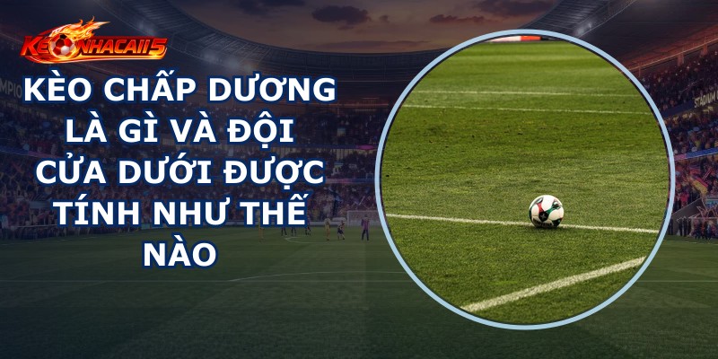 Kèo Chấp Dương Là Gì
