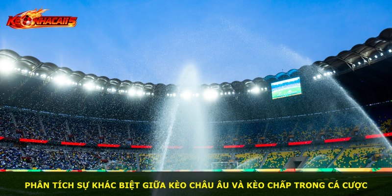 Phân tích sự khác biệt giữa kèo Châu Âu và kèo chấp trong cá cược