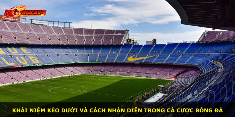 Khái niệm kèo dưới và cách nhận diện trong cá cược bóng đá