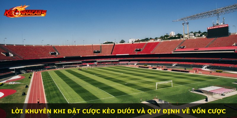 Lời khuyên khi đặt cược kèo dưới và quy định về vốn cược
