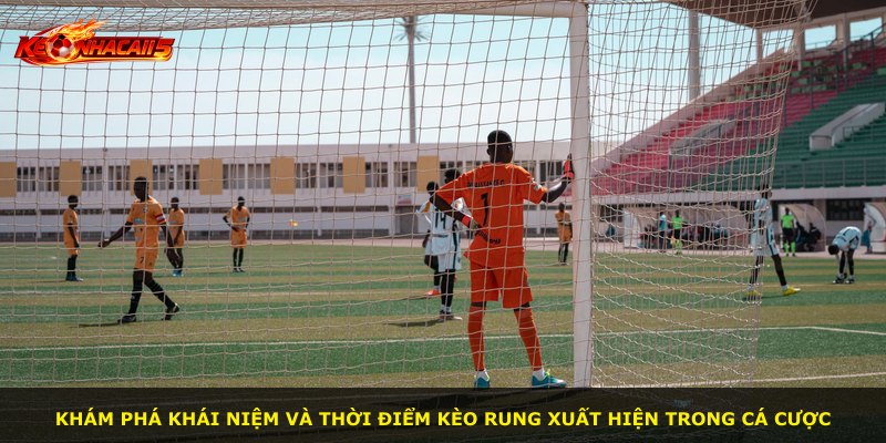 Khám phá khái niệm và thời điểm kèo rung xuất hiện trong cá cược