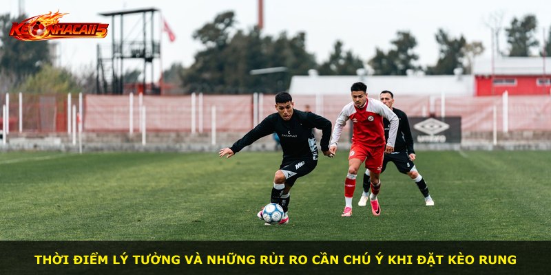Thời điểm lý tưởng và những rủi ro cần chú ý khi đặt kèo rung