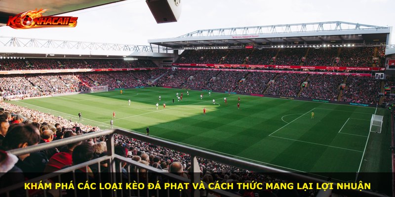 Khám phá các loại kèo đá phạt và cách thức mang lại lợi nhuận