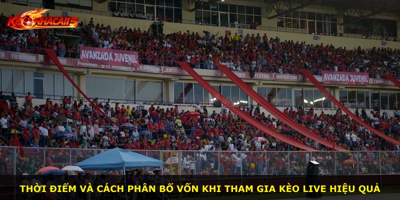 Thời điểm và cách phân bổ vốn khi tham gia kèo live hiệu quả